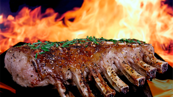 VIANDE CONNECTION ::: &laquo;&nbsp;Faut-il manger les animaux ?&nbsp;&raquo; par Safran Foer