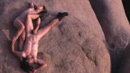 AUTEURS ET PORNO ::: La possibilité d’une idylle