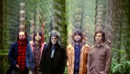 Eternal Tapestry - Photo by Amanda Smith - Trailling Woods