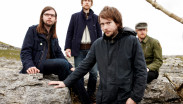 wolfband