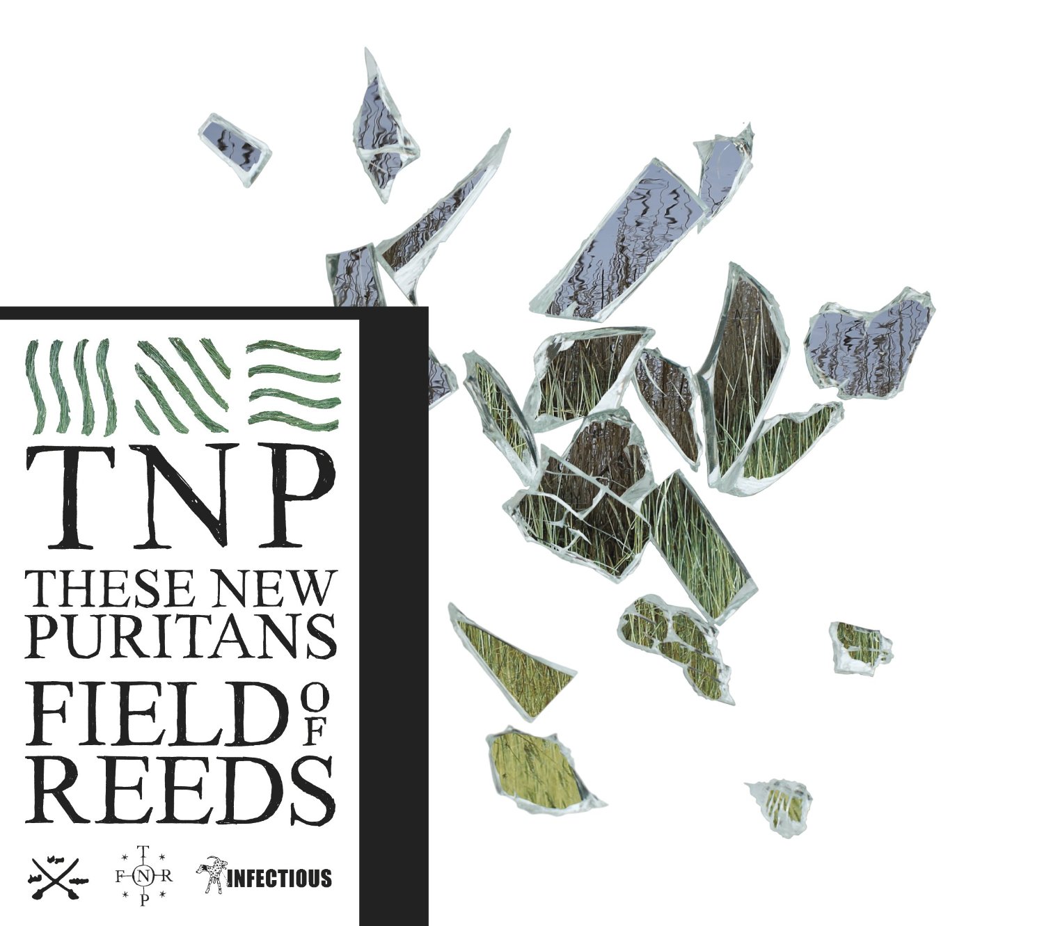 these-new-puritans-album-field-of-reeds
